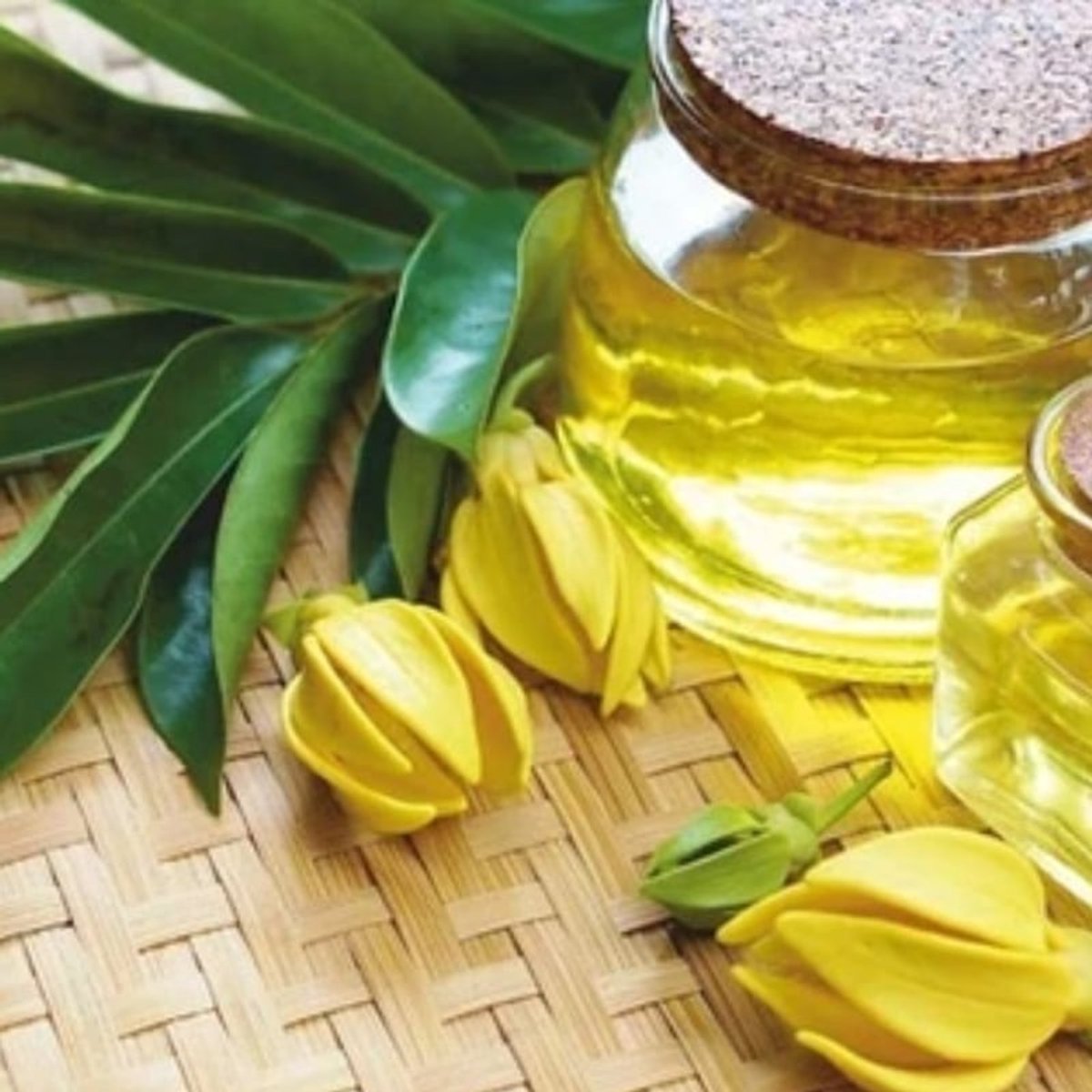 Ylang Ylang Compleet Etherische Olie Biologisch - 10 ml