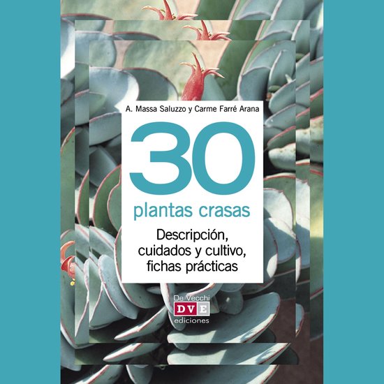 30 plantas crasas - cover