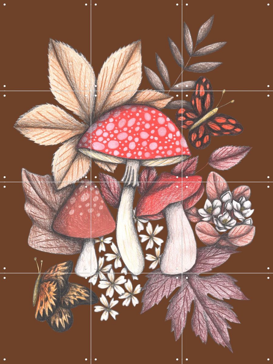 IXXI Mushrooms Magic 1, Cecilia Battaini - 60 x 80 cm - Gratis ophangtool - Grote wanddecoratie en posters - Illustraties, Fantasierijk, Art Nouveau