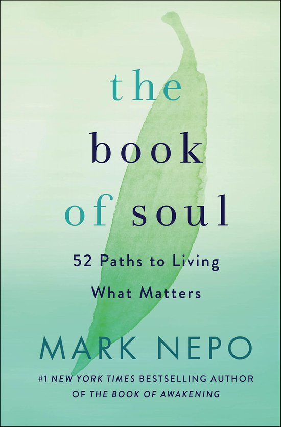 The Book of Soul - cover