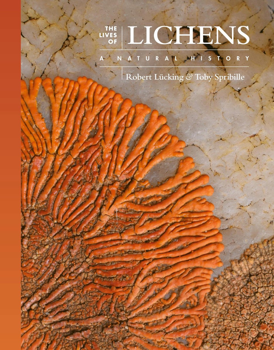 Omslag van The Lives of the Natural World-The Lives of Lichens