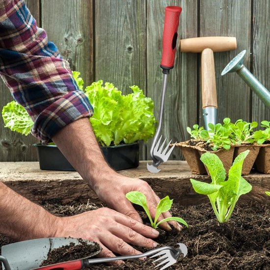 Handonkruidverwijderaar met handvat - tuinieren - handonkruidverwijderaar - voegschraper - rubberen handvat - 4 tanden van TalenTools — afbeelding 2