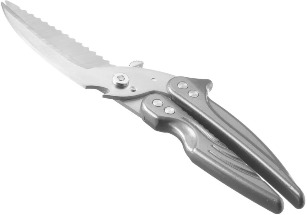 HENDI Wild- en pluimveeschaar - roestvast staal en aluminium - demonteerbaar - 26,5 cm