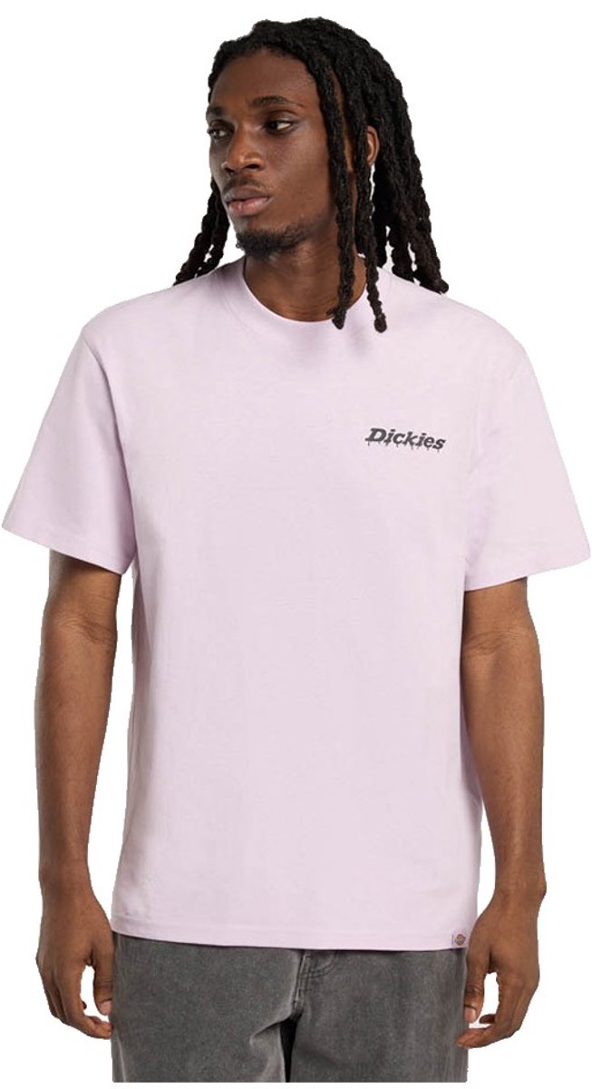 Dickies Statesville T-shirt Met Korte Mouwen M Man Winsome Orchid