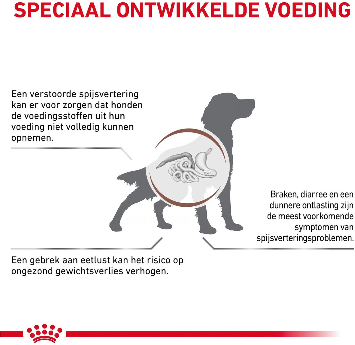 Royal Canin Veterinary Diet Gastro Intestinal - Hondenvoer - 2 kg thumbnail 2