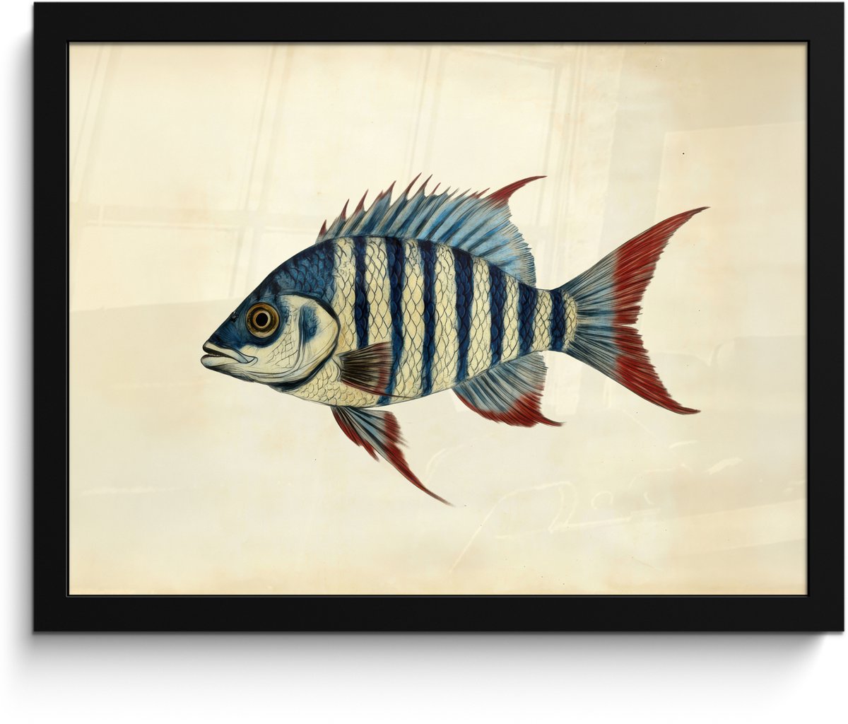 FrameYourWall Poster in lijst - Fotolijst 40x30 cm - Posters - Gestreept - Donkerblauw - Rugvin - Vis - Posterlijst zwart - Decoratie - Wanddecoratie woonkamer - Muurdecoratie slaapkamer Vis - Rugvin