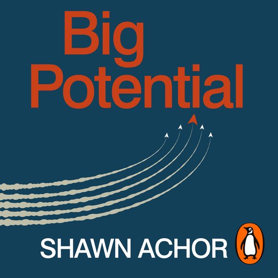 Big Potential - cover