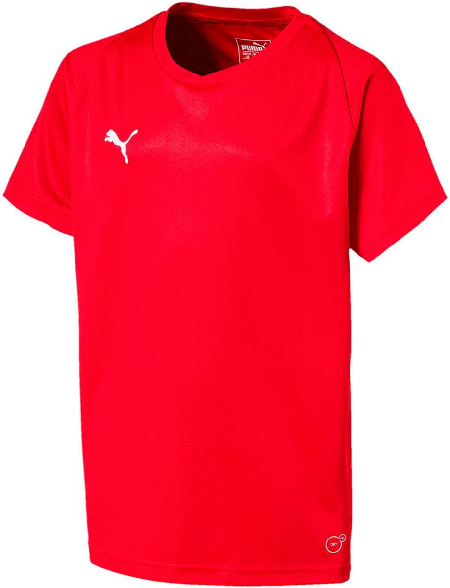 Puma Liga Core T-shirt Met Korte Mouwen Rood 15-16 Years Jongens,Meisjes