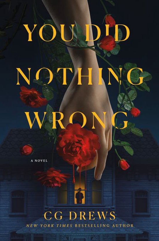 You Did Nothing Wrong - cover