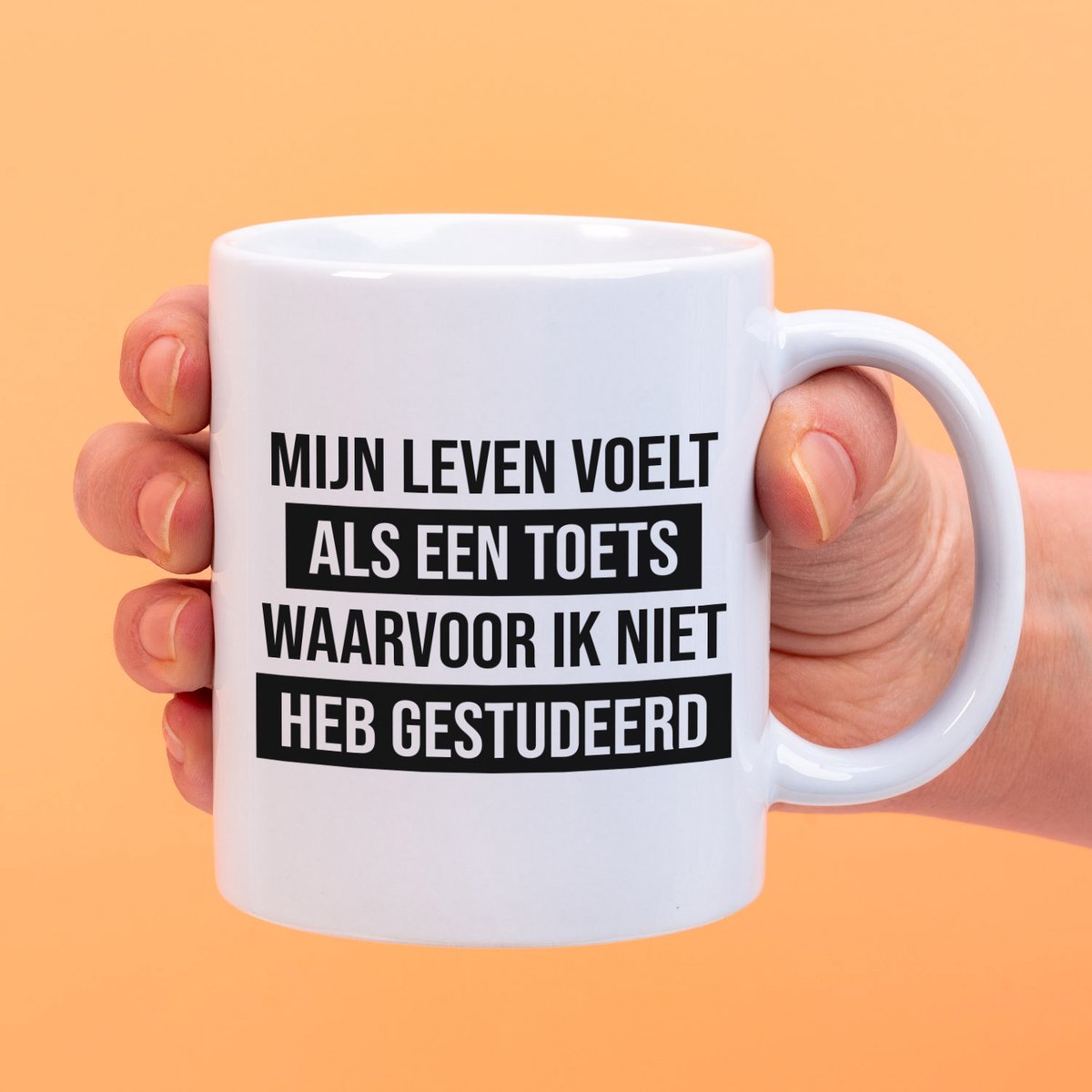 Ditverzinjeniet.nl Mok Mijn leven voelt als een toets