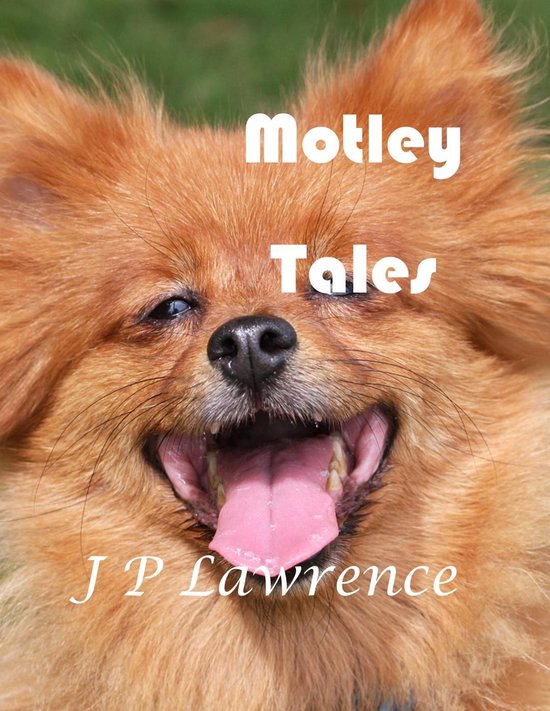 Motley Tales - cover
