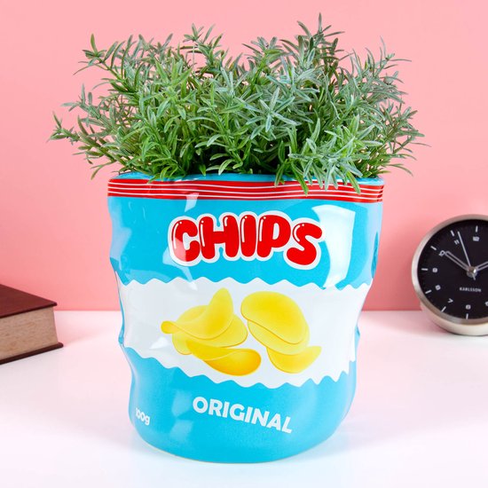 Een blauwe keramische pot in de vorm van een chipszak met de tekst "CHIPS ORIGINAL", gevuld met plantjes.