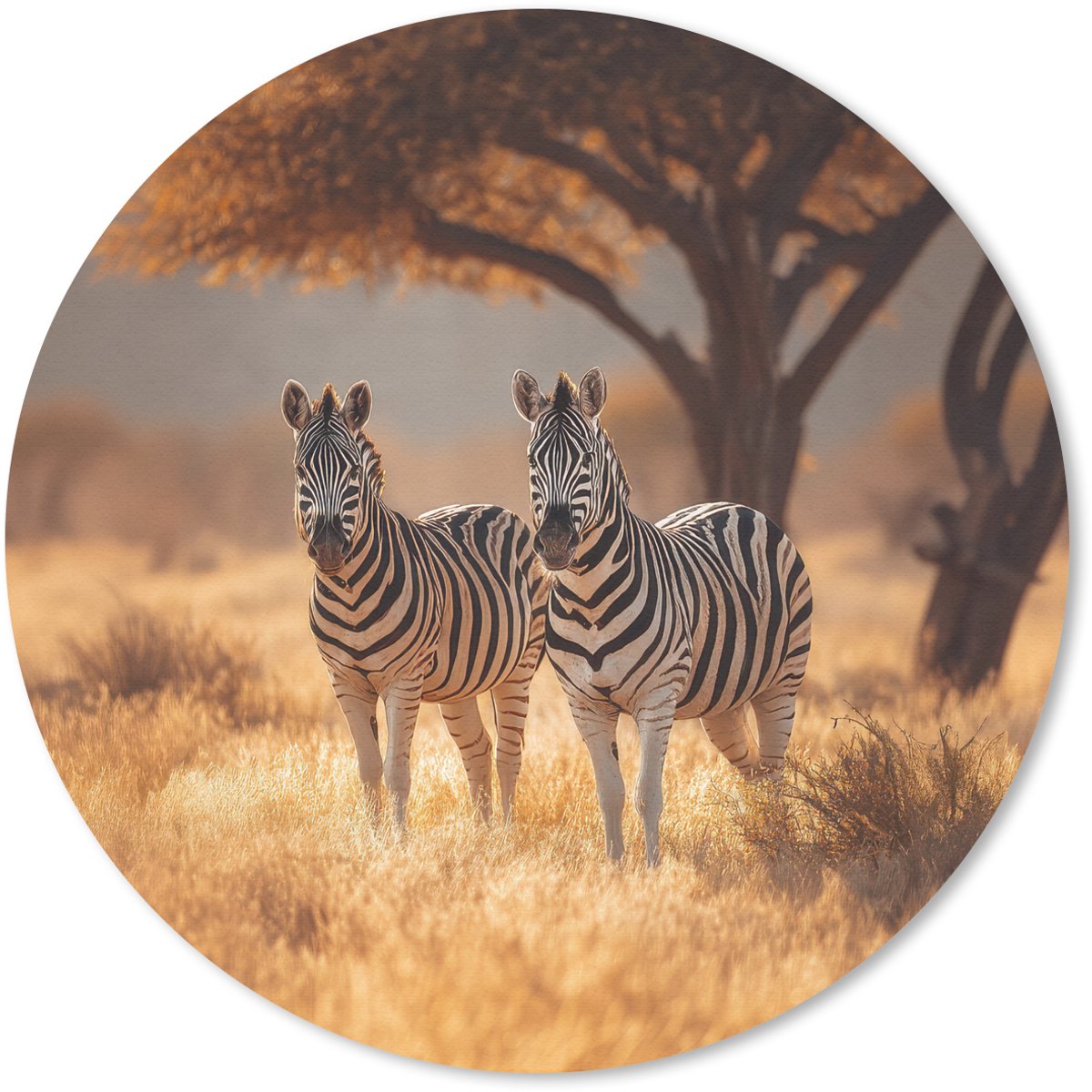 Muismat rond 40x40 cm - Mousepad Zebra's - Savannelandschap - Gras - Ronde muismatten