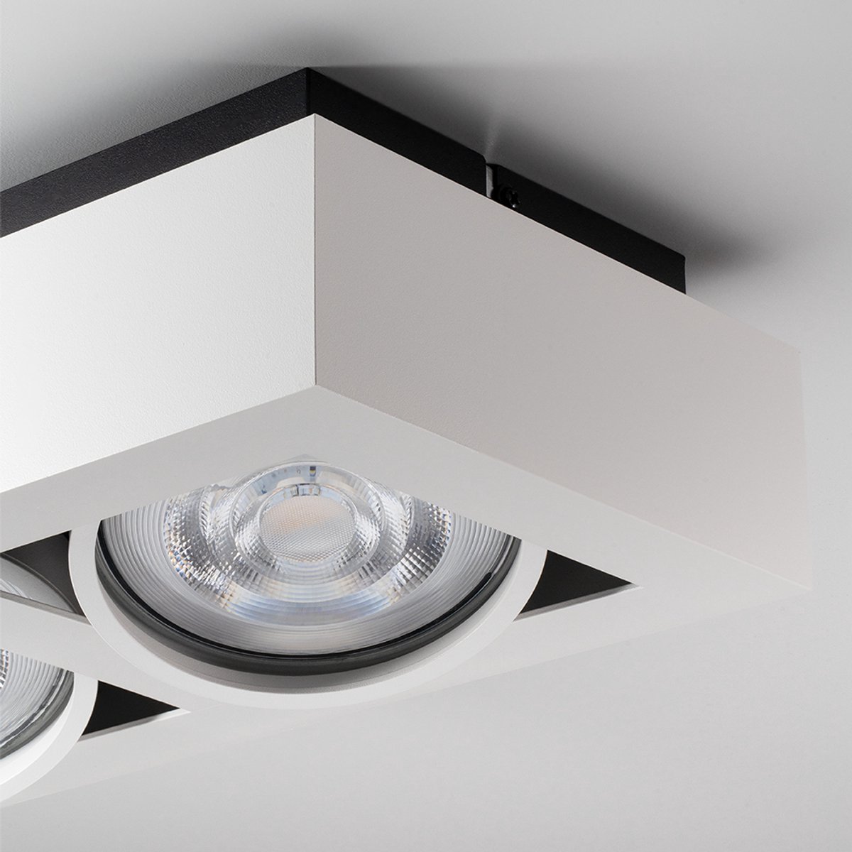 Castor bianco II by LUSENZ - Rechthoekige 2-lichts plafondlamp met richtbare spots en mat