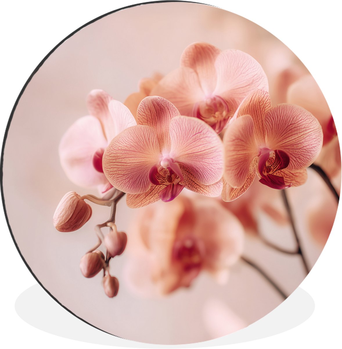 WallCircle Wandcirkel - Muurcirkel - Orchidee - Bloemen - Roze - Bloemblaadjes - Aluminium - Dibond - 90x90 cm - Binnen en Buiten