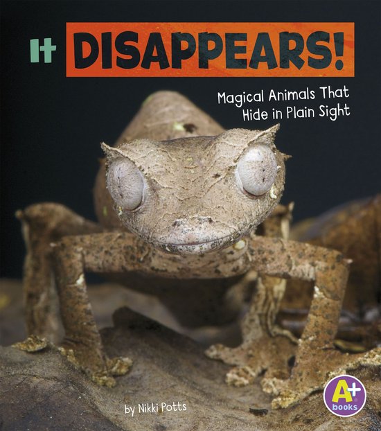 Magical Animals - It Disappears! - cover