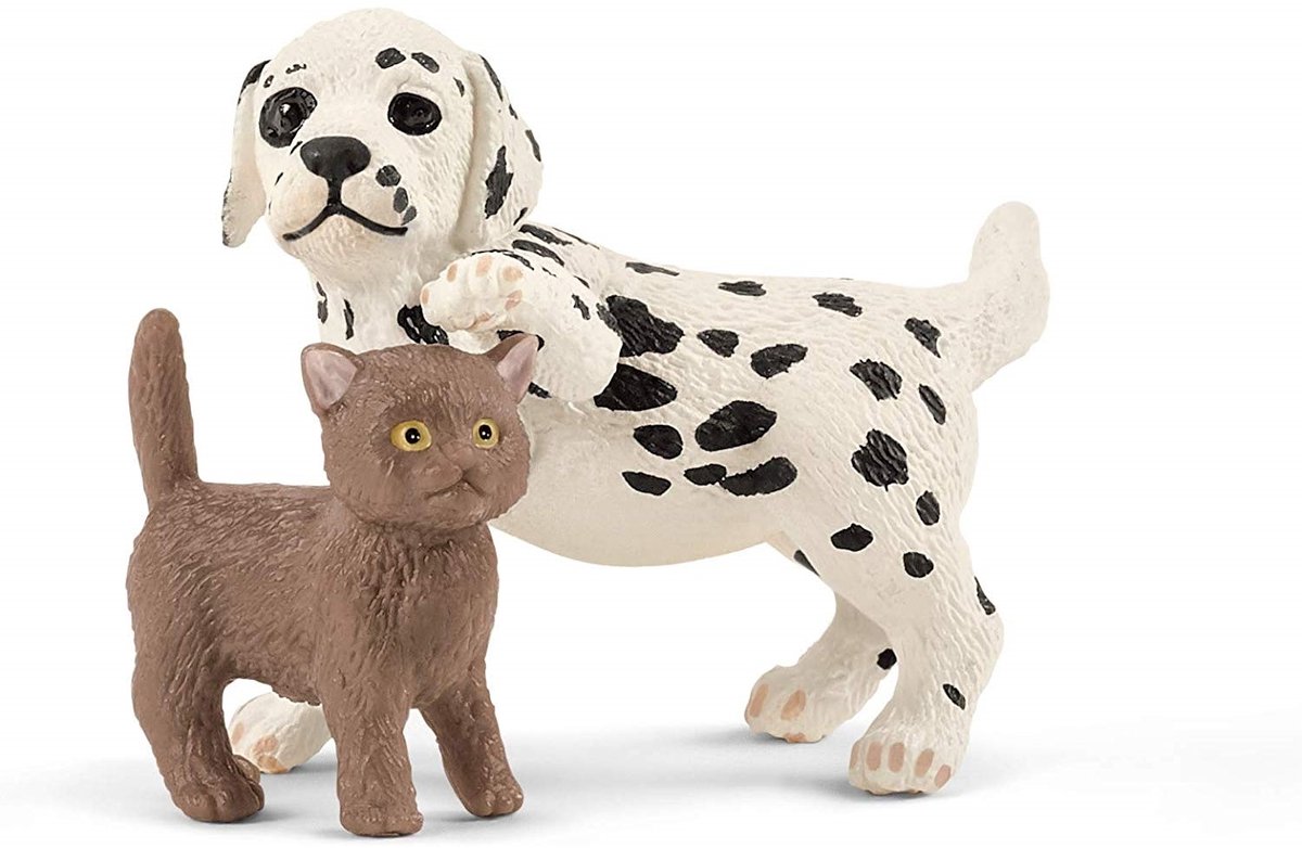 schleich FARM WORLD Speelfigurenset - Dierenarts Praktijk en Huisdieren - Kinderspeelgoed - vanaf 5 jaar - 27 Onderdelen - 42502 — afbeelding 9