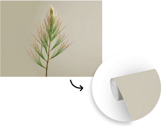 Behang - Fotobehang Dennentak - Naaldvormige bladeren - Lichtgroen - Breedte 350 cm x hoogte 260 cm