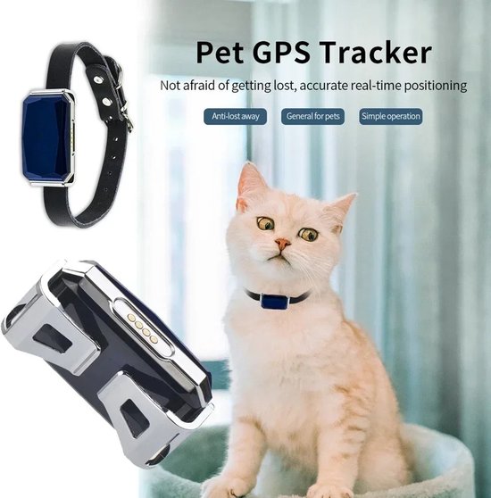 Zijn er gps-trackers voor katten zonder abonnement
