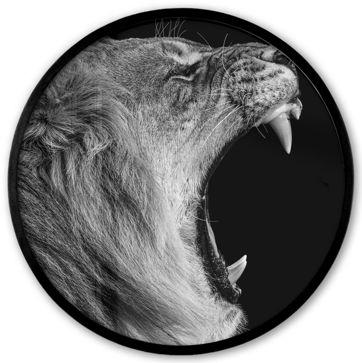 FrameYourWall Poster in lijst Rond - Fotolijst 40x40 cm - Posters - Dieren - Leeuw - Zwart - Wit - Portret - Ronde posterlijst zwart - Decoratie - Wanddecoratie woonkamer - Muurdecoratie slaapkamer Multicolor