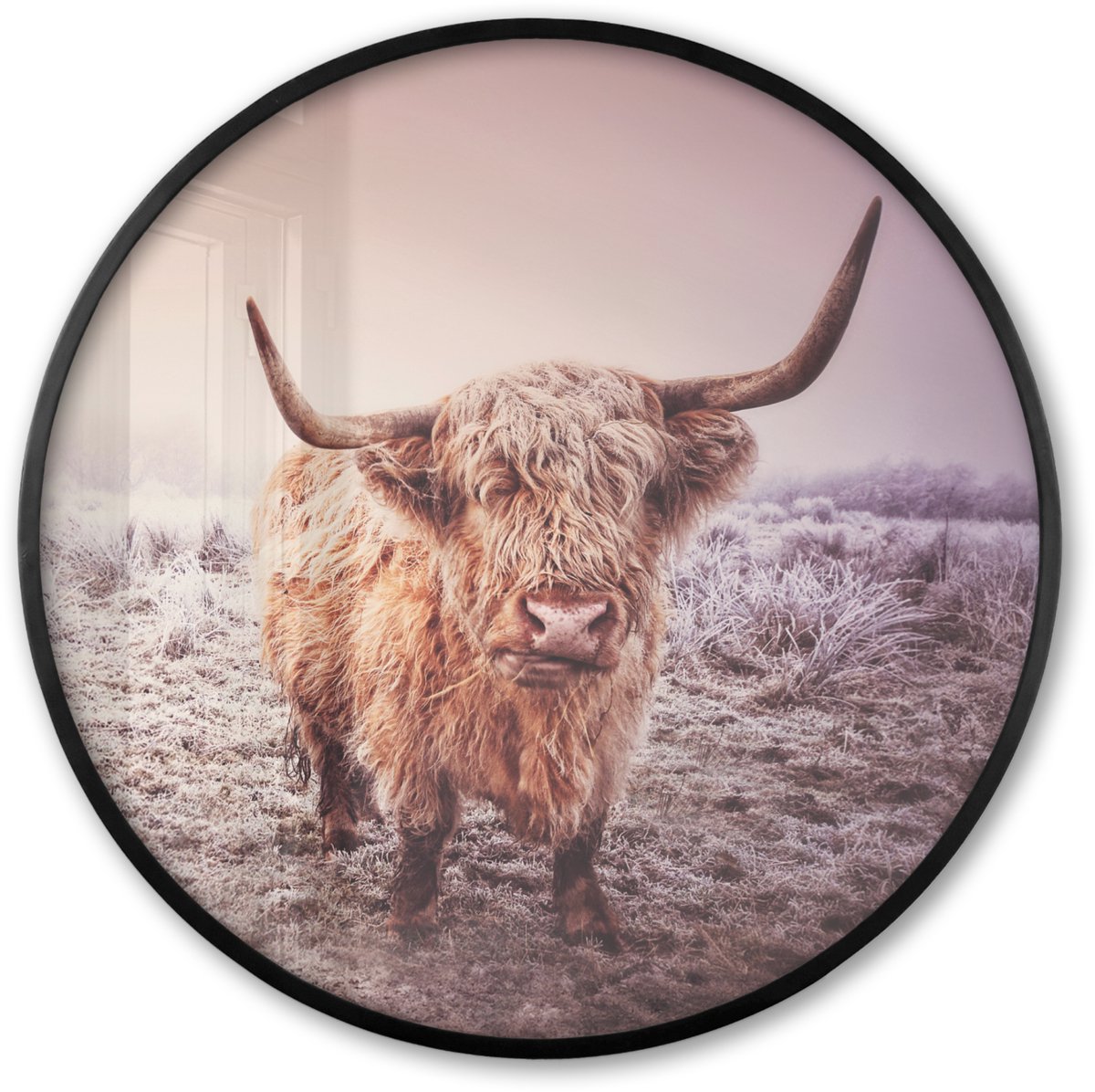FrameYourWall Poster in lijst Rond - Fotolijst 60x60 cm - Posters - Schotse hooglanders - Licht - Lucht - Natuur - Ronde posterlijst zwart - Decoratie - Wanddecoratie woonkamer - Muurdecoratie slaapkamer Winter - Schotse Hooglander