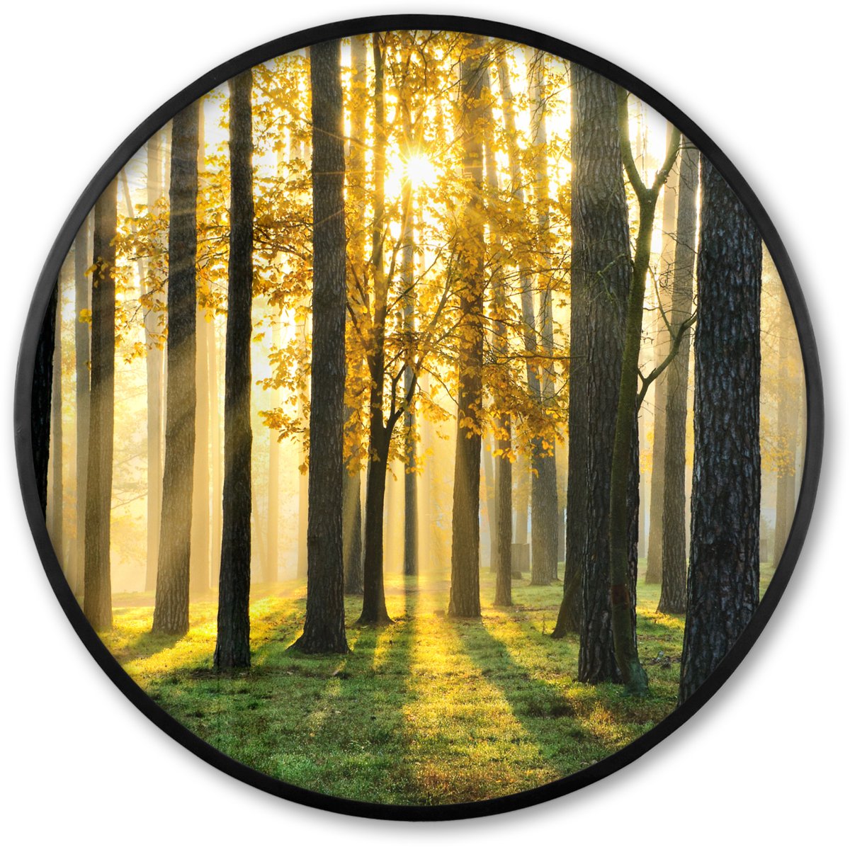 FrameYourWall Poster in lijst Rond - Fotolijst 80x80 cm - Posters - Bos - Zon - Bomen - Gras - Landschap - Natuur - Ronde posterlijst zwart - Decoratie - Wanddecoratie woonkamer - Muurdecoratie slaapkamer