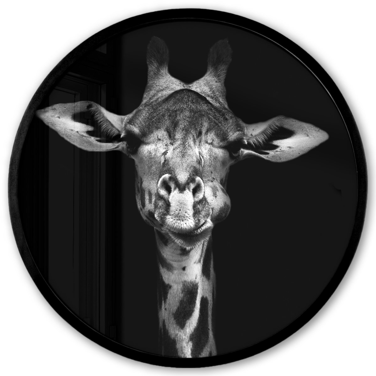 FrameYourWall Poster in lijst Rond - Fotolijst 40x40 cm - Posters - Giraffe - Portret - Dieren - Zwart - Wit - Ronde posterlijst zwart - Decoratie - Wanddecoratie woonkamer - Muurdecoratie slaapkamer