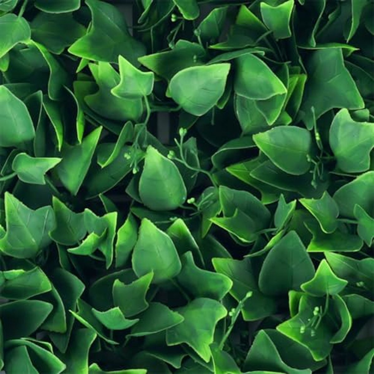 Kunsthaag Set - 4 x 50x50 cm - Groene Wand - Kunstklimop voor Binnen en Buiten - Balkonsch