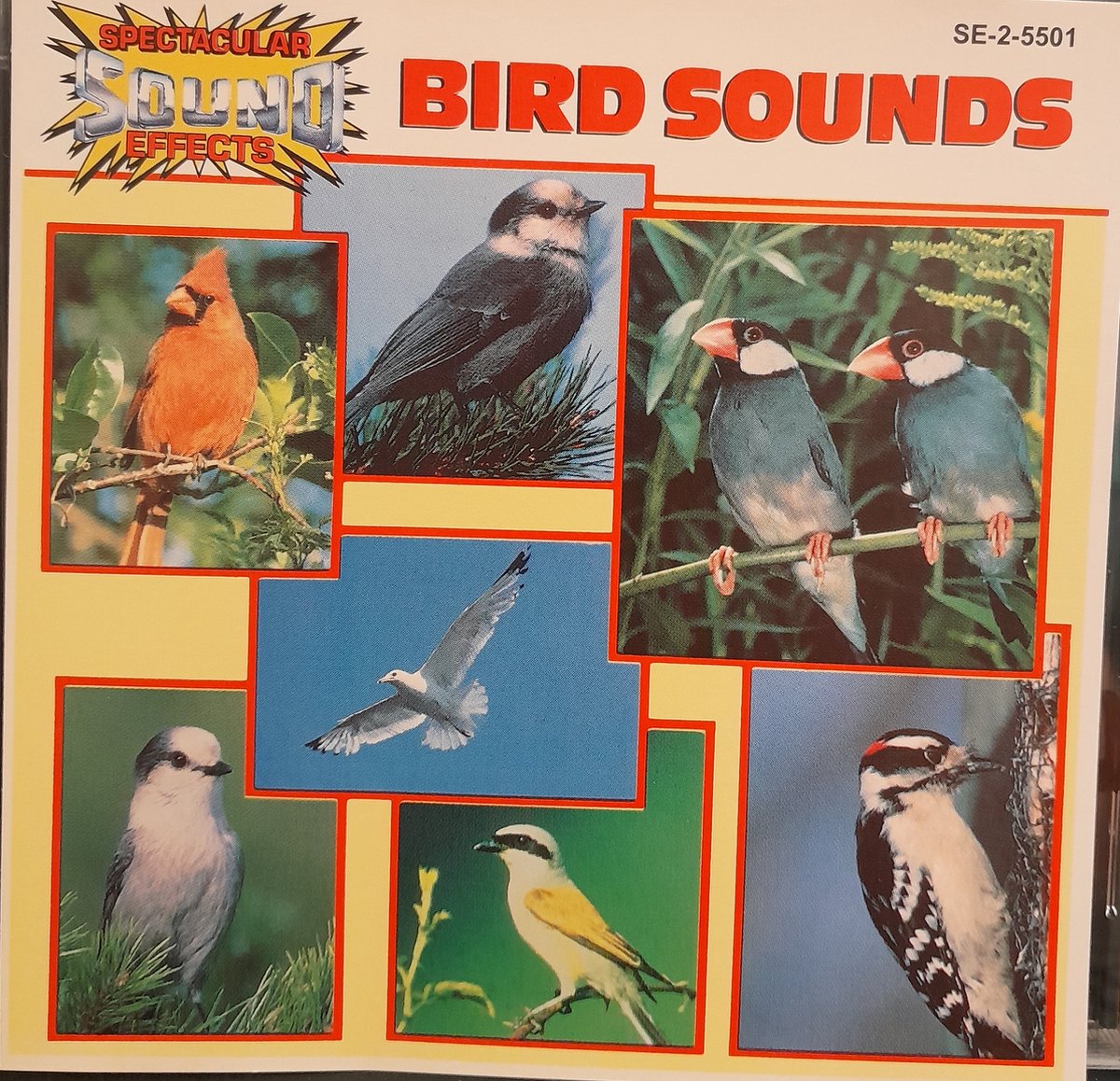 Bird Sounds [Madacy]