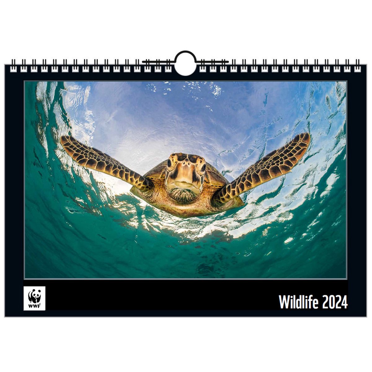WWF Wandkalender 2024 - maandkalender - 12 schitterende dieren foto's - natuur - ophangbaar