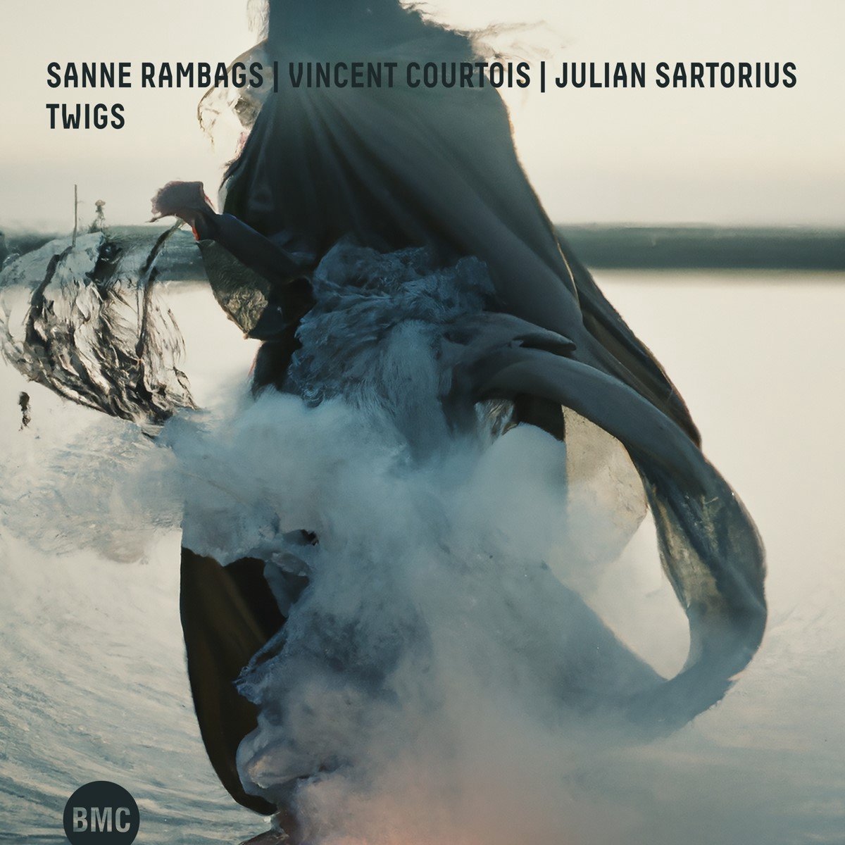 Sanne Rambags, Vincent Courtois & Julian Sartori - Twigs (CD)