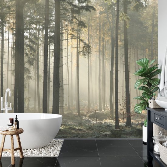 Papier peint photo Arbres Arbres Brouillard - Papier peint non tissé - 270 x 180 cm