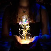Goods Communs - Rose Galaxie sous dôme en verre avec LED - Roses - Cadeaux  Femme -... | bol.com