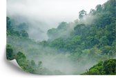 Fotobehang Rainforest Morning Fog