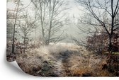 Fotobehang Bos In Mist