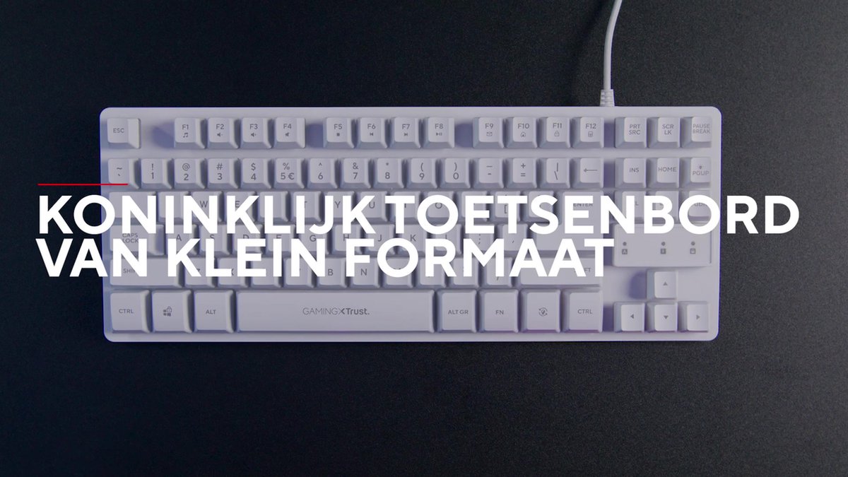 Trust Gaming TKL GXT 833 Thado Gamer Keyboard with Backlight (20% smaller), Membrane, Spanish QWERTY Layout, Anti-ghosting, USB, with Cable, PC/Computer : Trust-Gaming