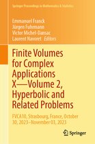 Springer Proceedings in Mathematics & Statistics- Finite Volumes for Complex Applications X—Volume 2, Hyperbolic and Related Problems