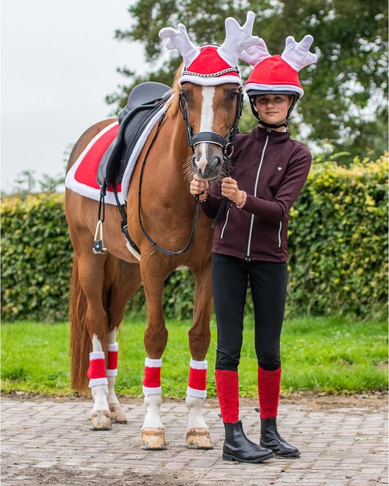 JOUET POUR CHEVAUX RUDOLPH, QHP