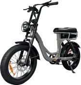 Comfort Inz EB8 - Fatbike - E Bike - Elektrische Fiets - 250W - 17.5 Ah - Hydraulische Remmen -Inc. Alarm en kettingslot - Grijs