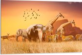 Dibond - De Dieren van het Afrikaanse Landschap - 105x70 cm Foto op Aluminium (Wanddecoratie van metaal)