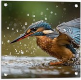 Tuinposter – Dier - Vogel - Kleuren - Water - 50x50 cm Foto op Tuinposter (wanddecoratie voor buiten en binnen)