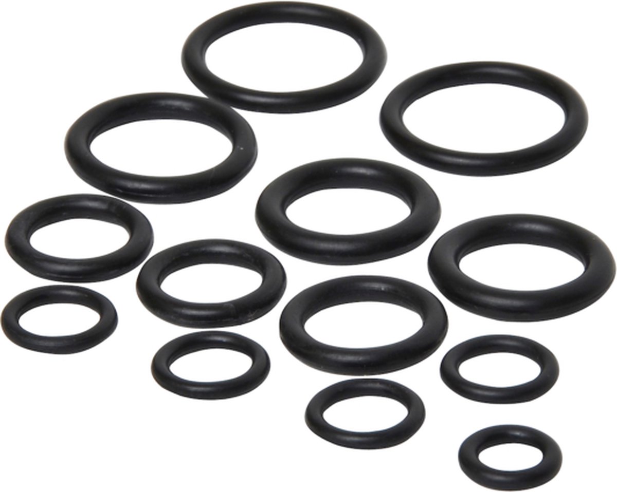 O-Ringen Assortiment 12st