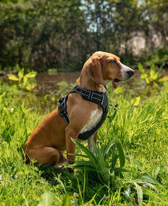 EZYDOG Crosscheck Trainingsharnas | Anti-Trek Harnas, Hondenharnas voor