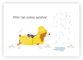 Postcard | Basset Hound Eddie After rain comes sunshine
