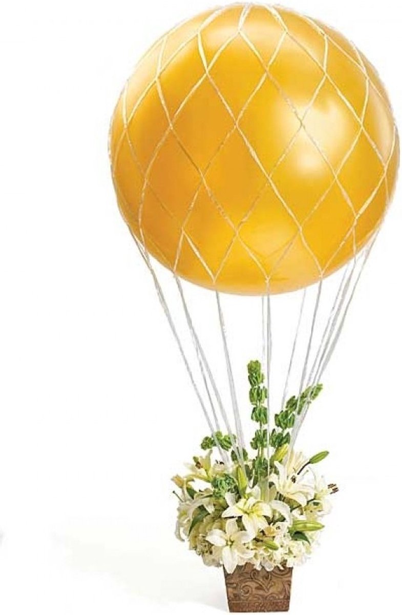 Net voor Megaballon / deco heteluchtballon 75 cm tot 1 m [Ean©Promoballons] - Promoballons ean ©