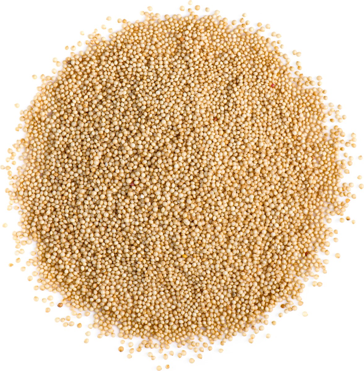 Moerasspirea Kruiden Thee Meadowsweet - 100 gram