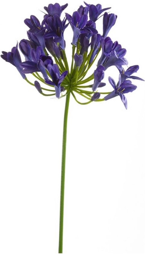 Kunstbloemen - Zijde Bloemen - Nep bloemen Luxe Bloemen - Agapanthus 75 cm - Natuurlijk Bloemen