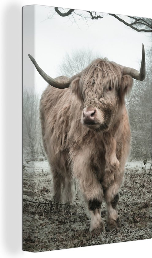 OneMillionCanvasses - Muurdecoratie - Schotse hooglander - Natuur - Herfst - Bos - 60x90 cm - Woonkamer - Slaapkamer - Canvas schilderij koe