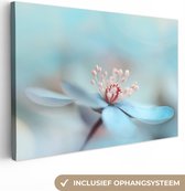 Canvas doek - Foto op canvas - Bloemen - Blauw - Rood - Planten - Wanddecoratie - Canvas foto - 60x40 cm - Canvas schilderij
