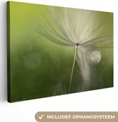 Peinture sur toile - Photo sur toile - Fleurs - Tournesol - Graines - Wit - Plantes - Décoration de chambre - 180x120 cm - Toile en toile